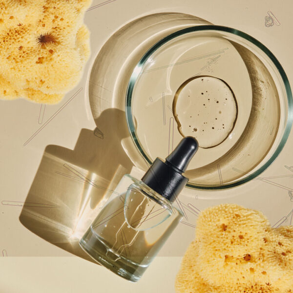 Sea sponges, petri dish and serums