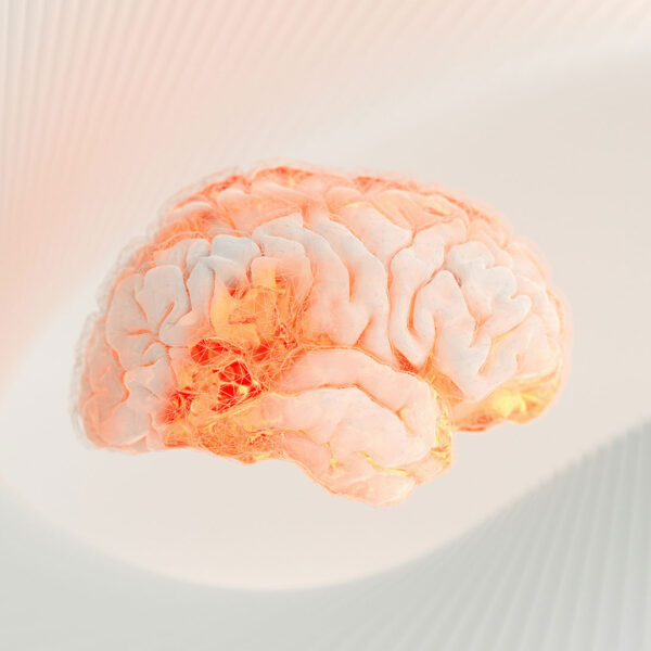 a brain on a pastel background